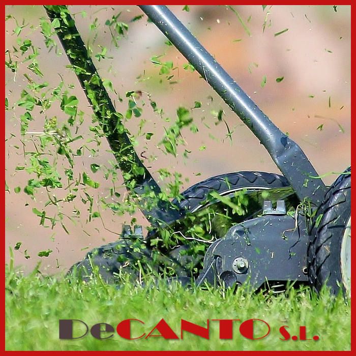 Resolvemos tus dudas en la decoración de jardines: áridos decorativos o cesped